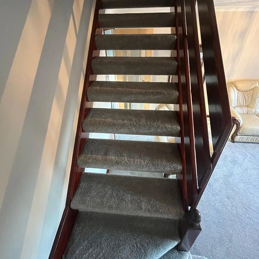 Carpeted staircase from Transform’s public gallery